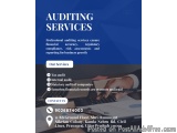 Auditing Services for Transparent Financial Reporting