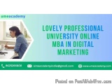 LPU Online MBA in Digital Marketing