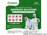 Best Pest Control Services in Hyderabad