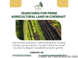 What Makes Agricultural Land in Chennai a Smart Pick for Growth-Oriented Investors?