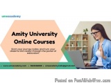 Amity University Online Courses