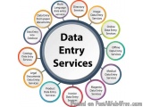 The image is a circular diagram that represents the different types of data entry services offered by various companies. The...