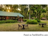 The image shows a beautiful outdoor setting with a green roofed pavilion in the background. The pavilion is surrounded by lus...