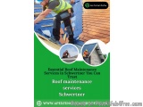 Essential Roof Maintenance Services in Schwertner You Can Trust