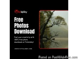 Free Photos Download