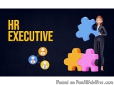 The image is a graphic design that represents the concept of HR Executive. It has a black background with the words "HR Execu...
