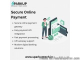 Secure Digital Payment Solution