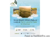 Grow Wealth Where Nature Lives at Farm Land for Sale in Chennai
