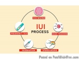 IUI Treatment In Delhi - Dr Rhythm Gupta