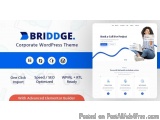 Elevate Your Business With Briddge