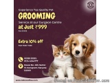 Tails & Coffee | cheap dog grooming services in gurgaon