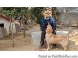 The image shows a man sitting on a concrete bench with a golden retriever dog on a leash. The man is wearing a blue jacket, b...