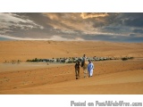The image shows a desert landscape with sand dunes and a clear blue sky. In the foreground, there are two people walking with...