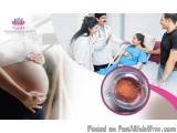 Make Parenthood Possible With Best Ivf Specialist In Bangalore -...