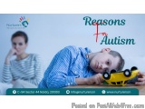 Reasons For Autism: Myths Vs Scientific Facts