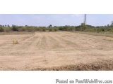 The image shows a vast open field with a clear blue sky in the background. The field appears to be dry and barren, with no ve...
