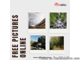 Free Pictures Online