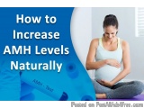 How to Increase AMH Levels Naturally