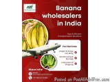 Fresh Indian Bananas â€“ Export Quality, Worldwide Supply