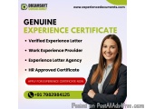 Professional Experience Certificate Provider in Kochi