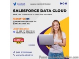 Salesforce Data Cloud Online Training – Join The New Batch