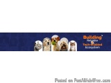 The image is a banner or advertisement for a company called "Building Reliable Tech-Enabled Ecosystem". The banner has a blue...