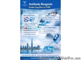 Antibody Reagents Dubai Supplier In Uae