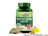 Shop Testosterone Booster Tablets – Improve Endurance & Energy