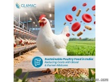 Broiler Production: How Alternative Protein Sources Can Reduce Feed Costs