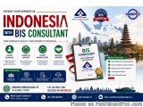 Bis Consultant In Indonesia
