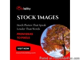 Stock Images