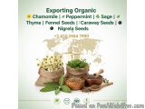 ðŸŒ¿ Premium Organic Herbs & Seeds Export â€“ Fresh from Nature, Delivered Worldwide! ðŸŒ¿