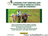 â€œLooking to Buy Fertile Agricultural Land in Chennai for Future Investment?â€