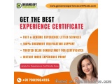 Experience Certificate Provider in Noida