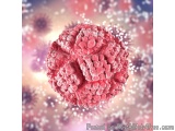 The image is a 3D rendering of a spherical object, which appears to be a virus or bacteria. The object is pink in color and h...