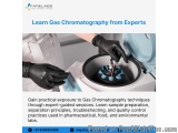 Master Gas Chromatography With Industry-focused Training
