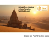 Gujarat Tour â€“ Explore Culture, Temples, Wildlife & Desert