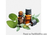 The image shows two small amber glass bottles with black caps. The bottles are placed next to a sprig of sage leaves. One of...