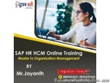SAP HR Online Course in Ameerpet | Igrowsoft