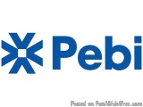 The image is a logo for a company called Pebi. The logo is written in a bold, sans-serif font and is in a bright blue color....