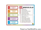 Simplify 5S Implementation with Our Complete Product Range and Posters