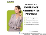 Experience Certificates Provider in Mumbai