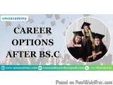 Career Options After Bs.c