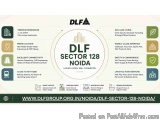 DLF Sector 128 Noida Apartments Overview