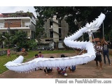 The image shows a large white dragon-shaped kite being held up by a group of people. The kite is made of paper and has a long...