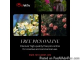 free pics online