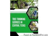 Professional Tree Trimming Services in Central Texas | Apex Fencing & Roofing
