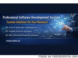 Professional Software Development Services