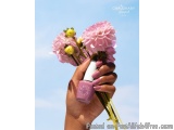 Glass Nail Paint Bottles Supplier | Chaudhary Glasspack