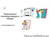 Leading Ecommerce Consulting & Development Company in Houston